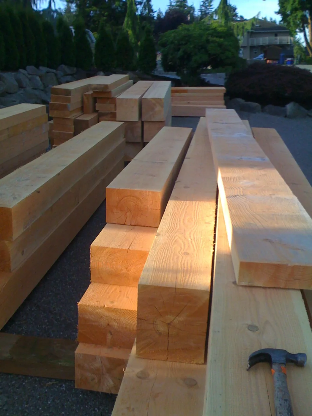 Douglas Fir timbers stacked in the mill yard at golden hour