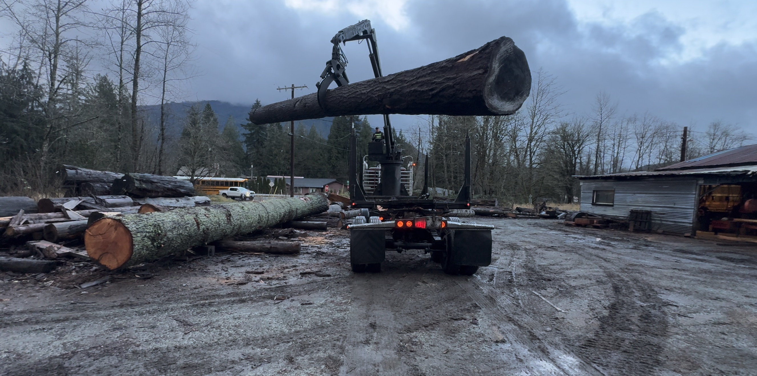 Douglas Fir logs delivered to the Washington Timber Company mill
